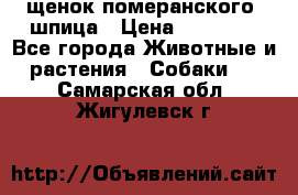 щенок померанского  шпица › Цена ­ 50 000 - Все города Животные и растения » Собаки   . Самарская обл.,Жигулевск г.